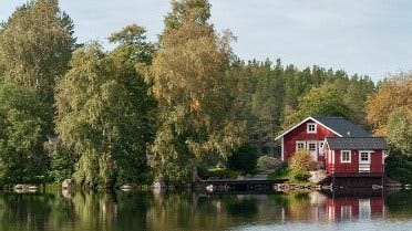Wood-Mizer Sawmills and Woodworking Equipment Help Advance Swedish Wood Industry